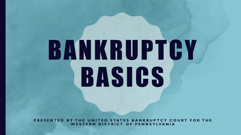 bankruptcy basics n.w