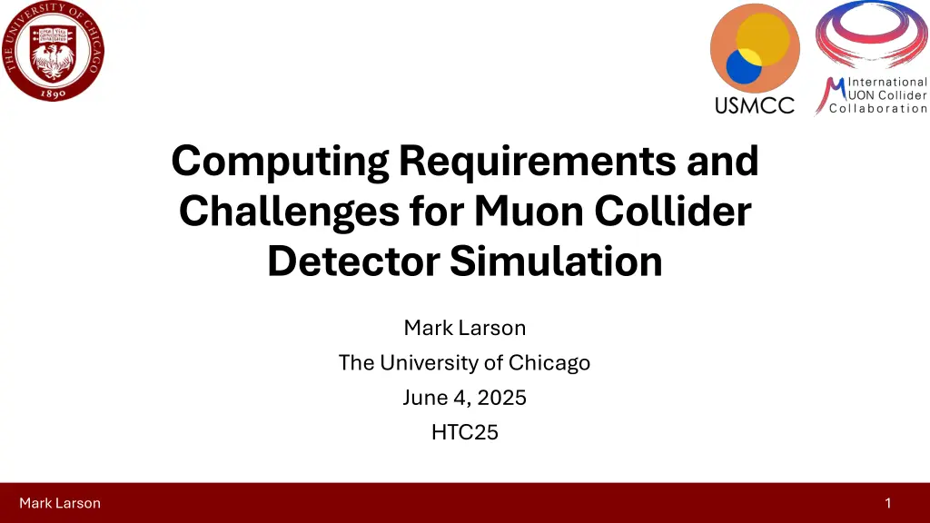 computing requirements and challenges for muon n.w