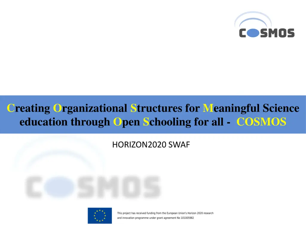 creating organizational structures for meaningful n.w