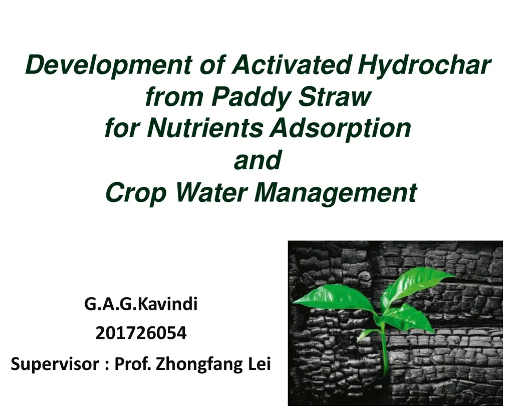development of activated hydrochar from paddy n.w