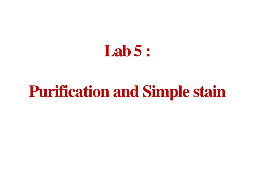 lab 5 n.w