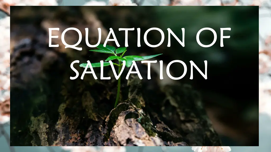 equation of salvation n.w