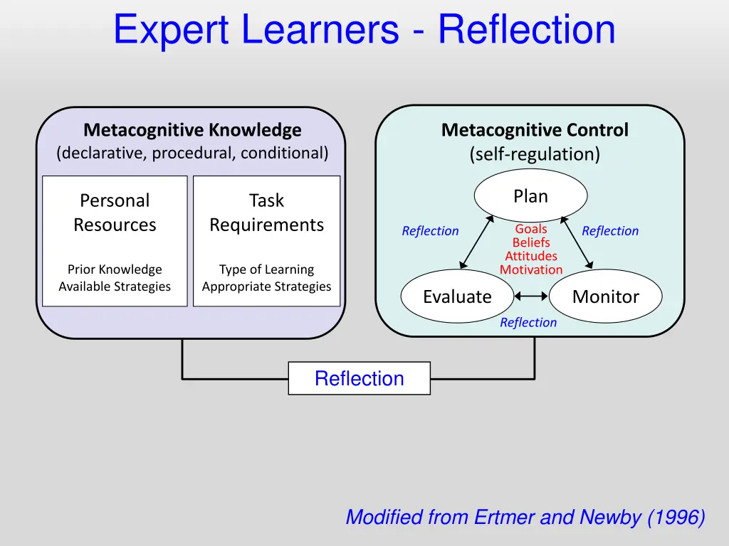 expert learners reflection n.w