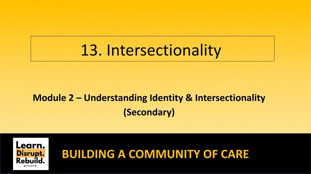 13 intersectionality n.w