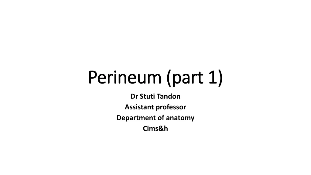 perineum part 1 perineum part 1 n.w