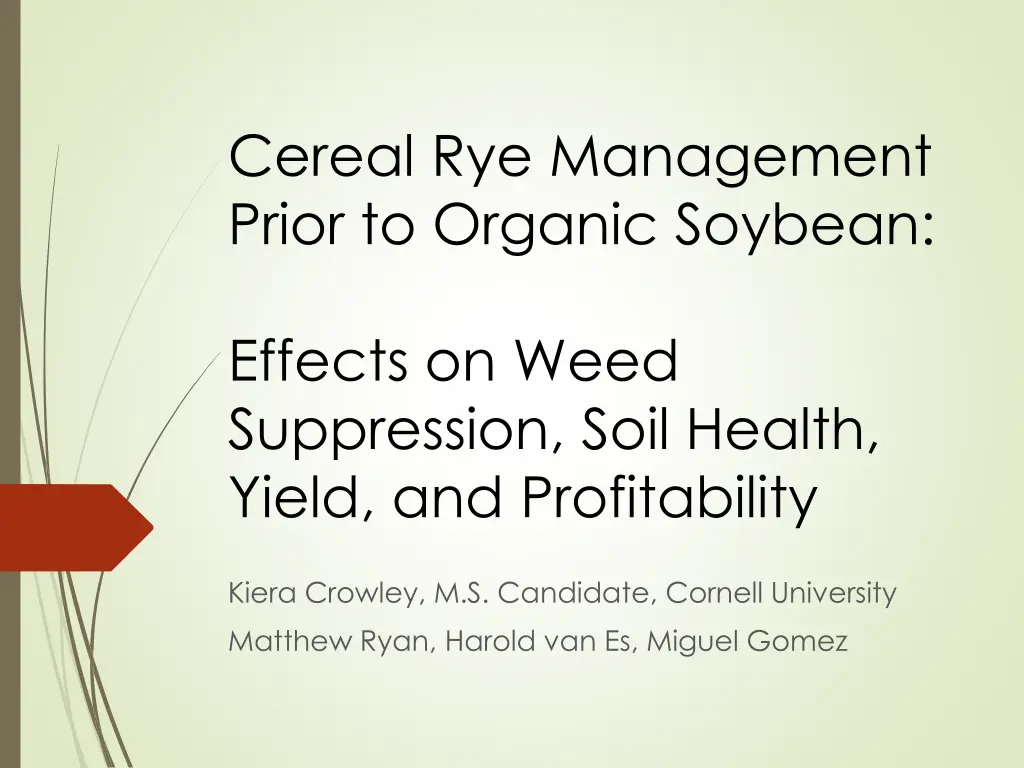 cereal rye management prior to organic soybean n.w
