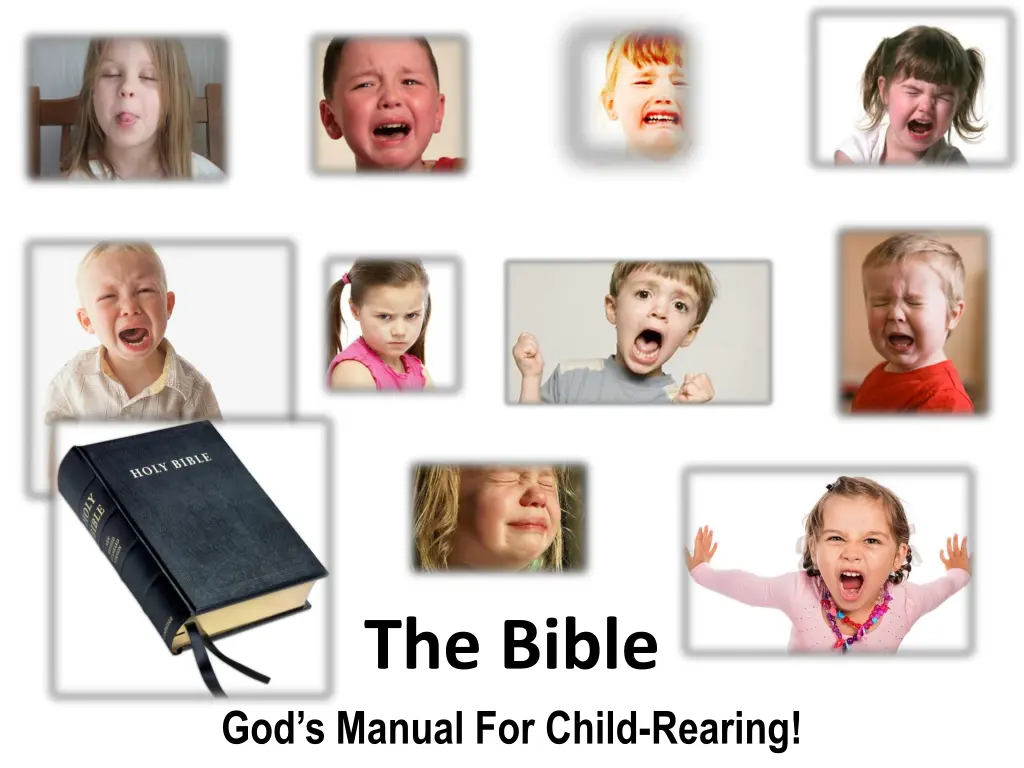the bible n.w