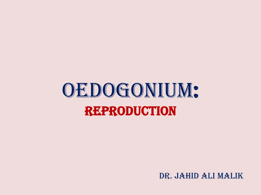 oedogonium reproduction reproduction n.w