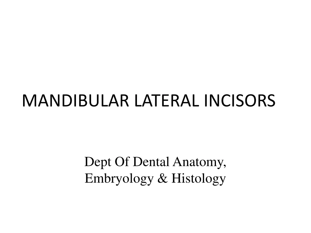 mandibular lateral incisors n.w