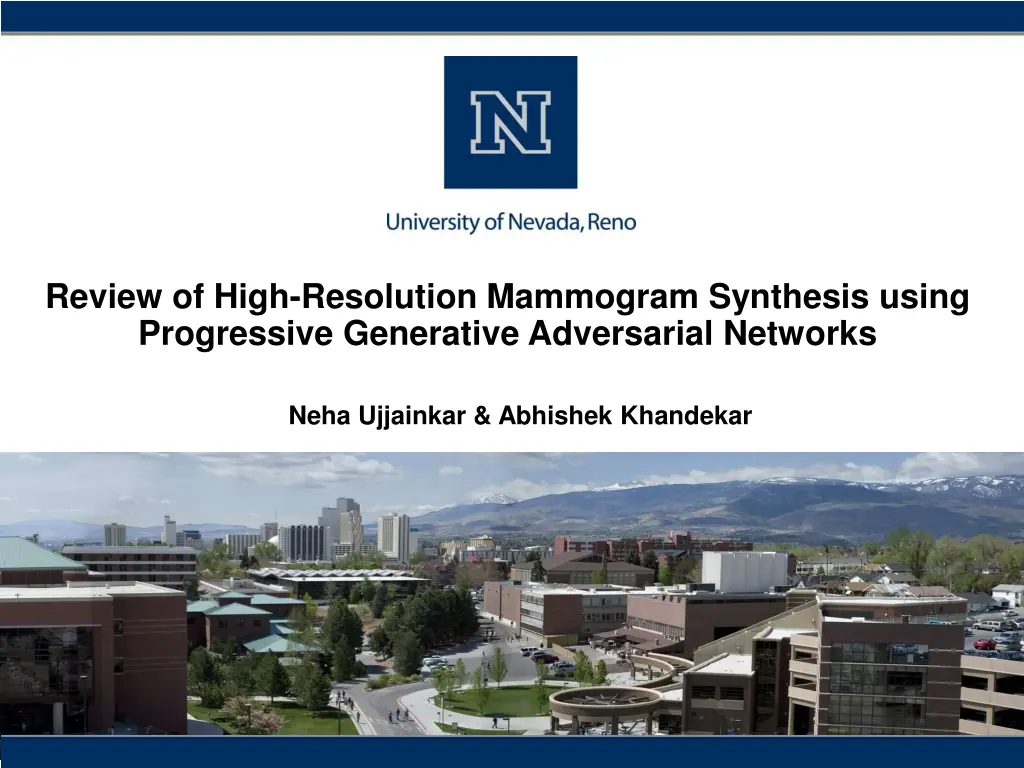 review of high resolution mammogram synthesis n.w