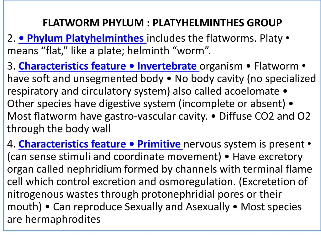 flatworm phylum platyhelminthes group 2 phylum n.w