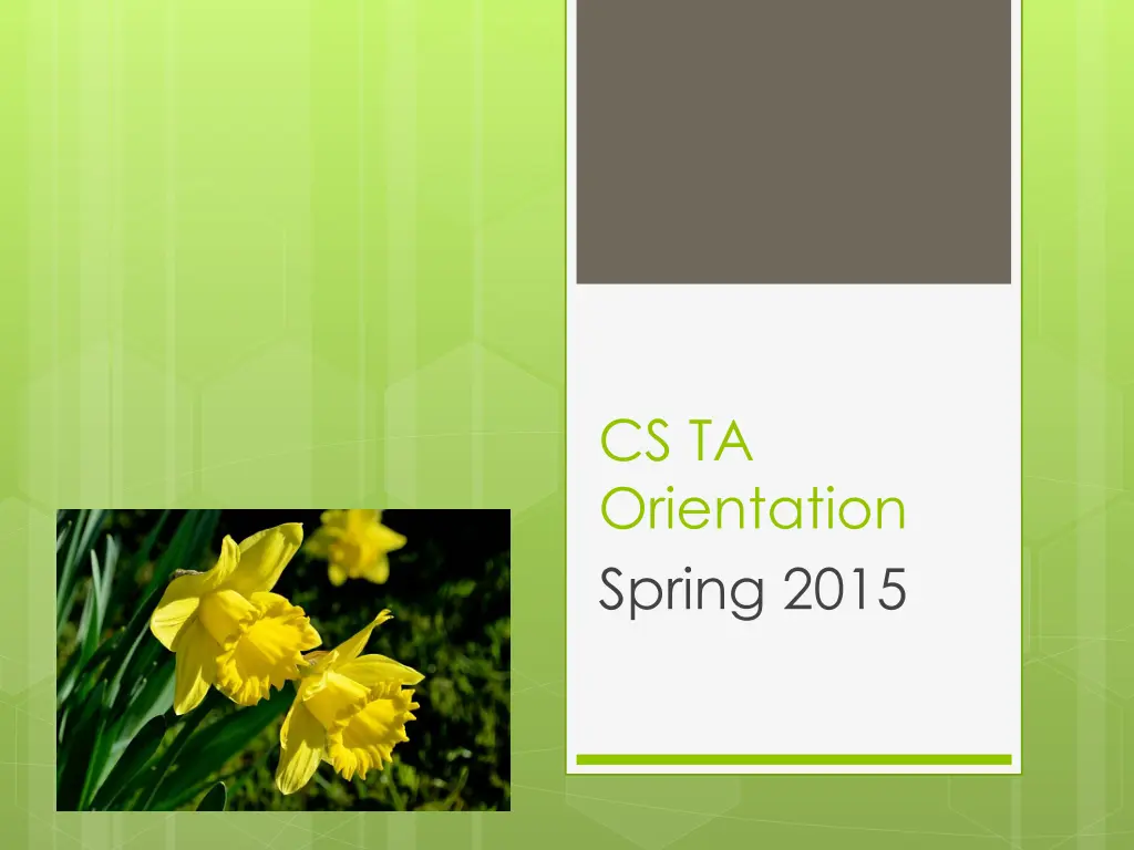 cs ta orientation spring 2015 n.w