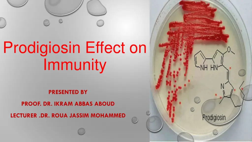 prodigiosin effect on immunity n.w