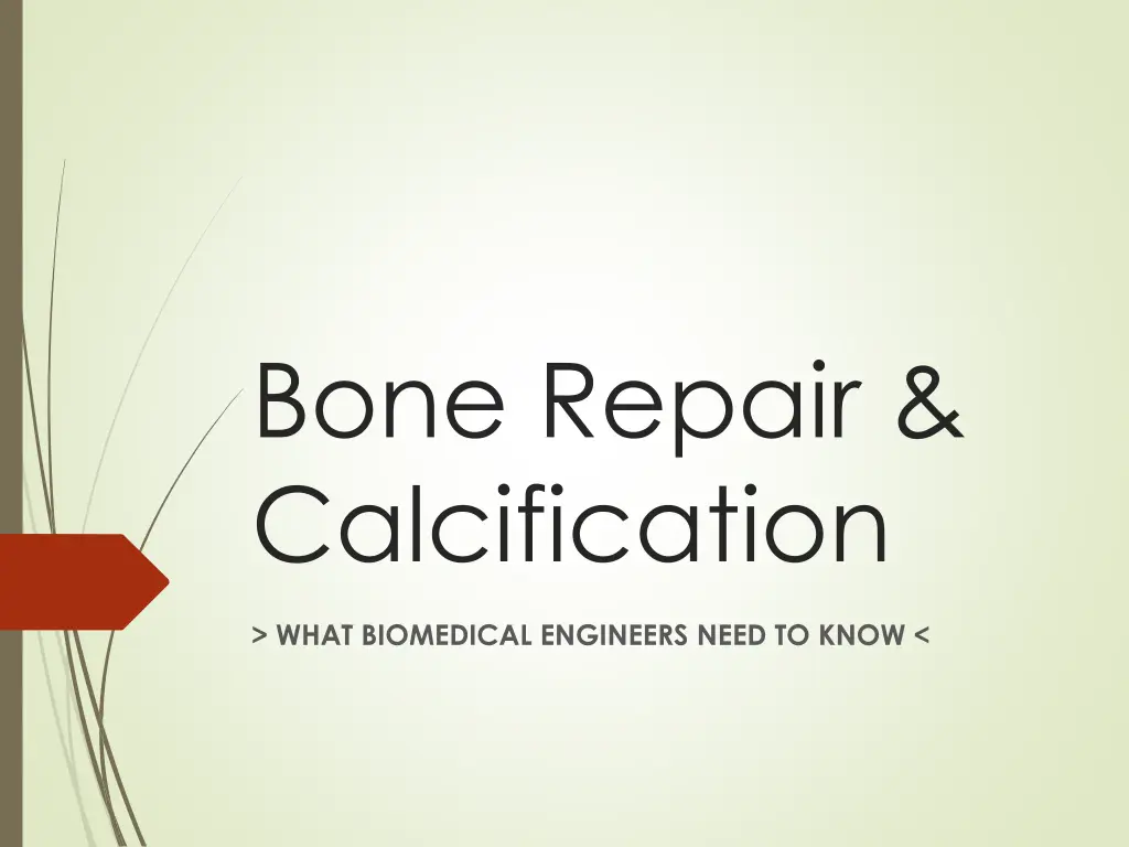 bone repair calcification n.w