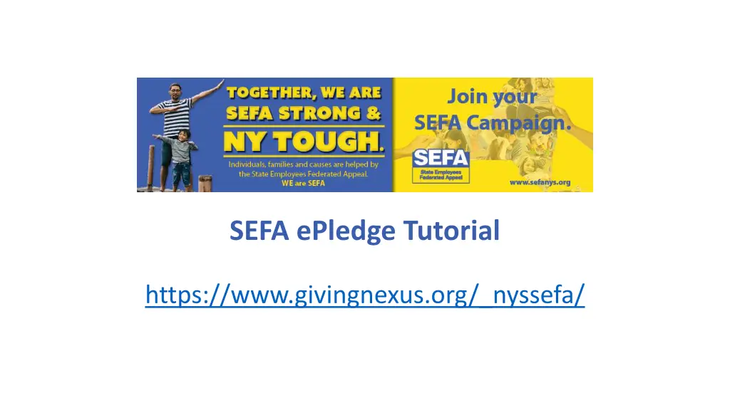 sefa epledge tutorial n.w