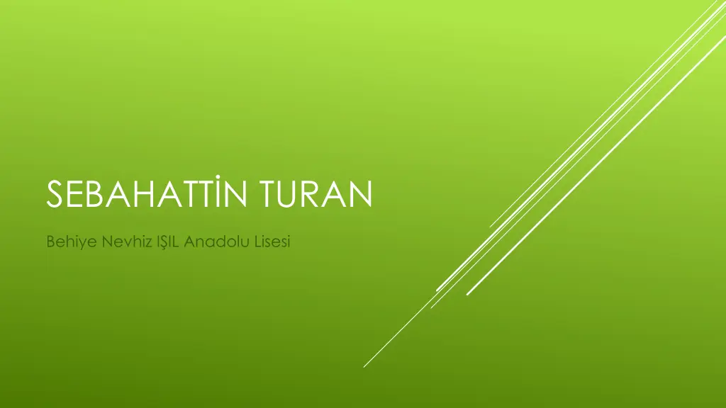 sebahatt n turan n.w