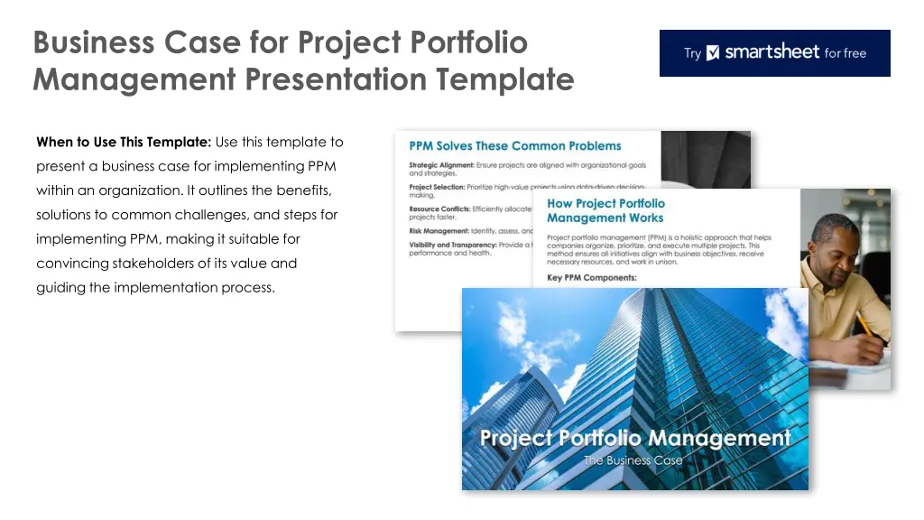 business case for project portfolio management n.w