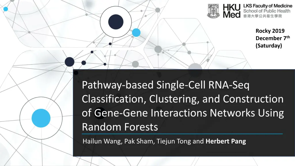 rocky 2019 december 7 th saturday n.w
