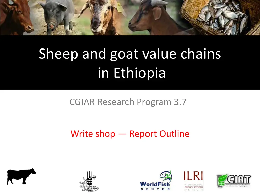 sheep and goat value chains in ethiopia n.w
