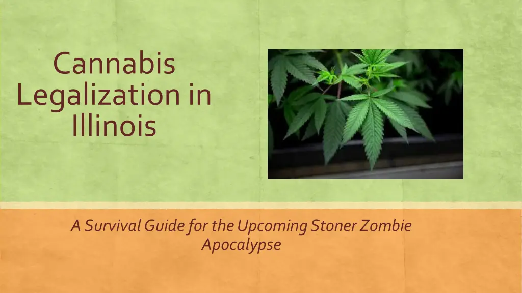 cannabis legalization in illinois n.w