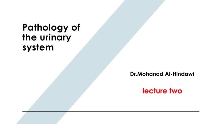 Pathology of the urinary system