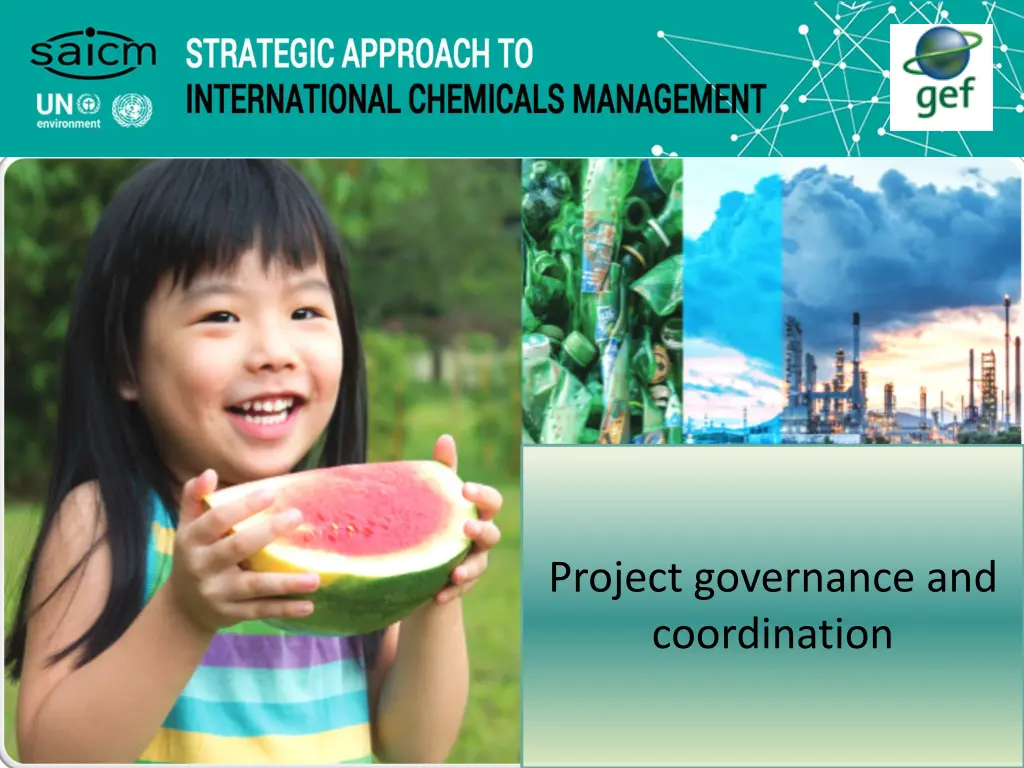 project governance and coordination n.w