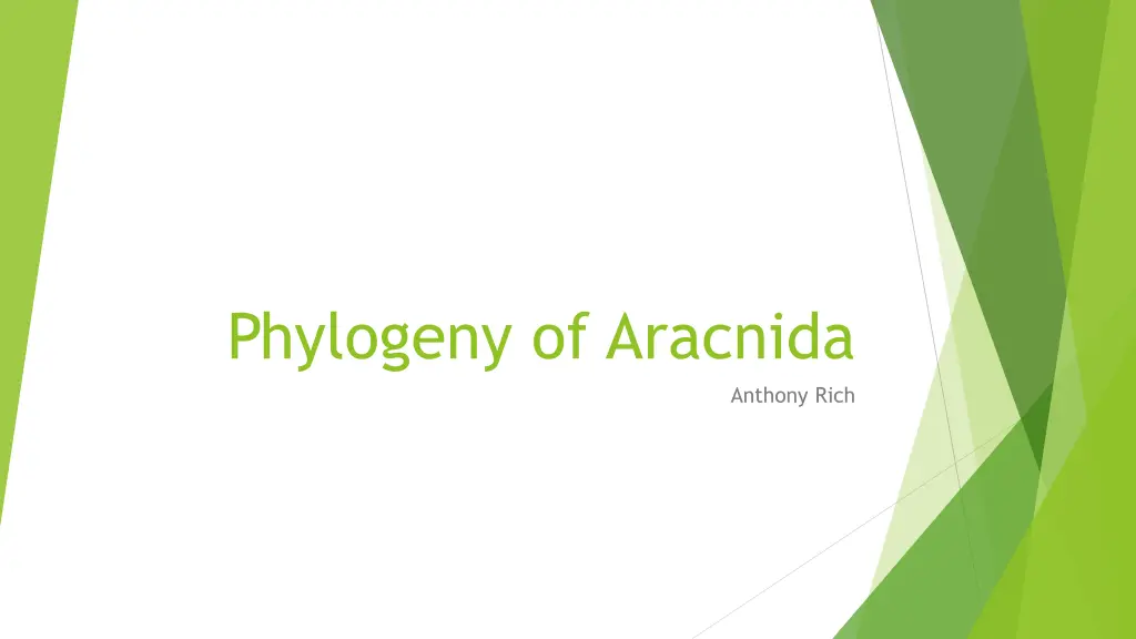 phylogeny of aracnida n.w