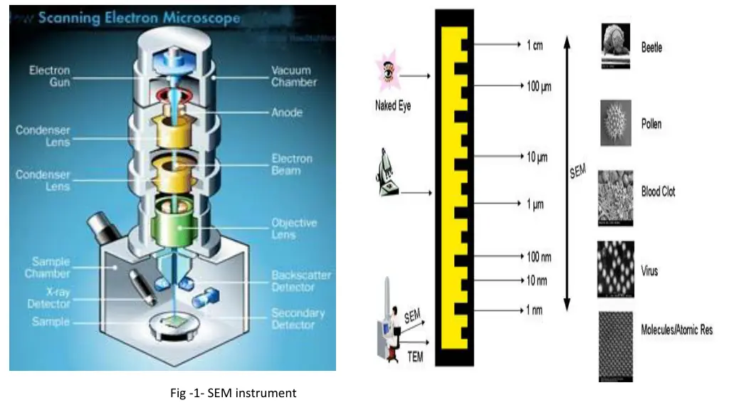 fig 1 sem instrument n.w
