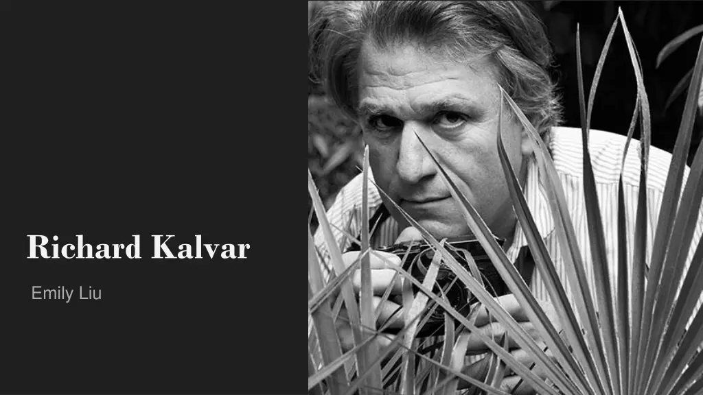 richard kalvar n.w