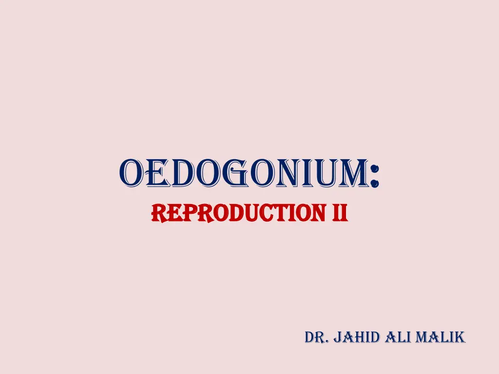 oedogonium reproduction ii reproduction ii n.w