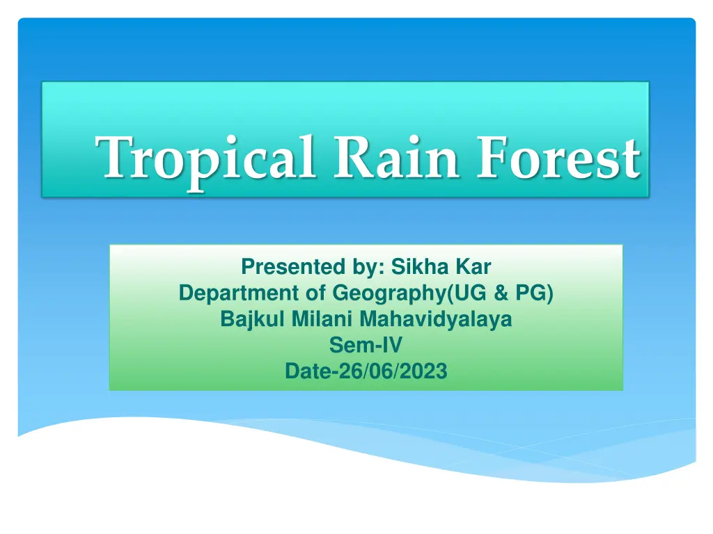 tropical rain forest n.w