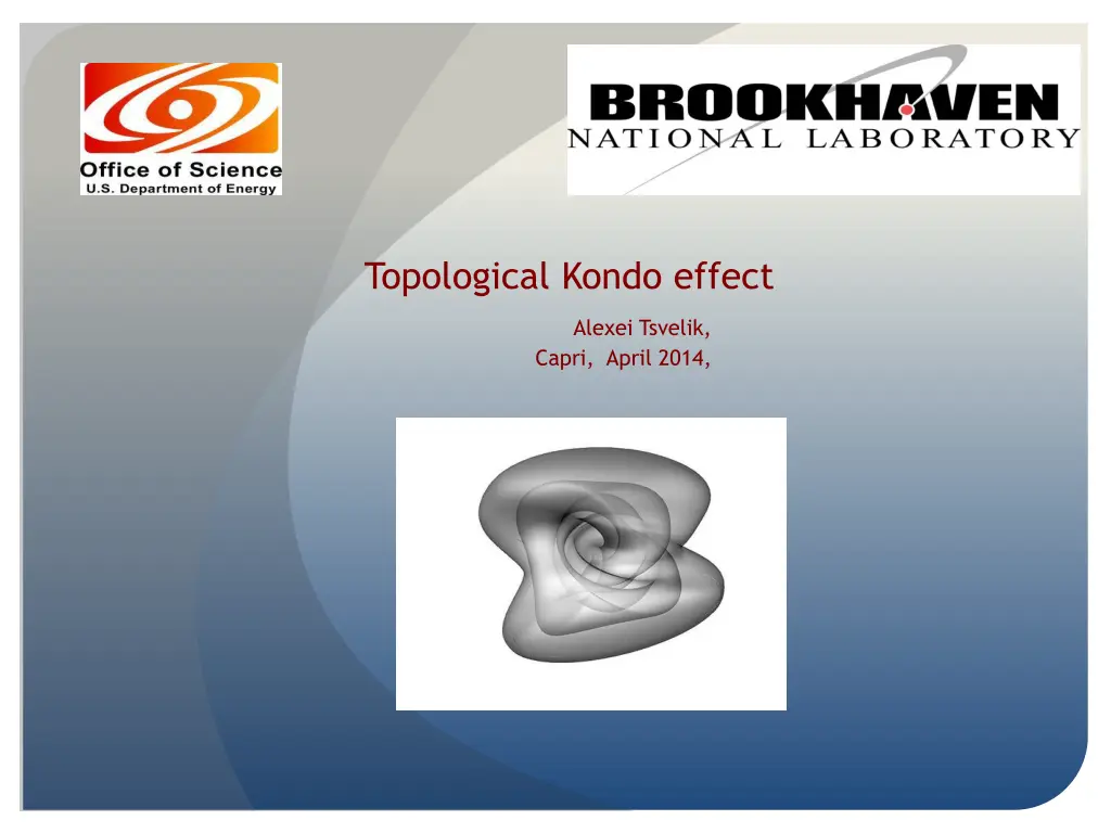 topological kondo effect n.w