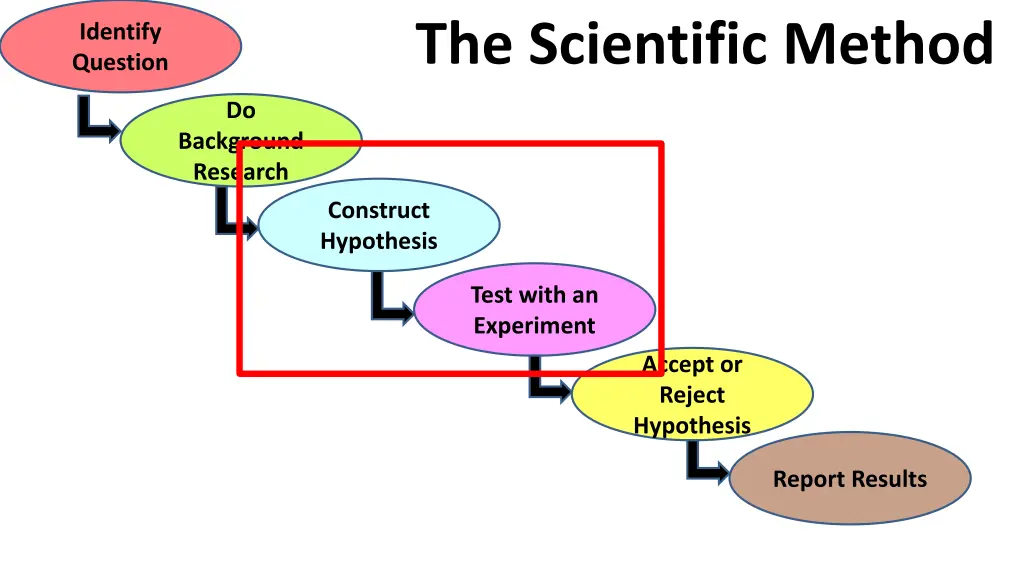 the scientific method n.w