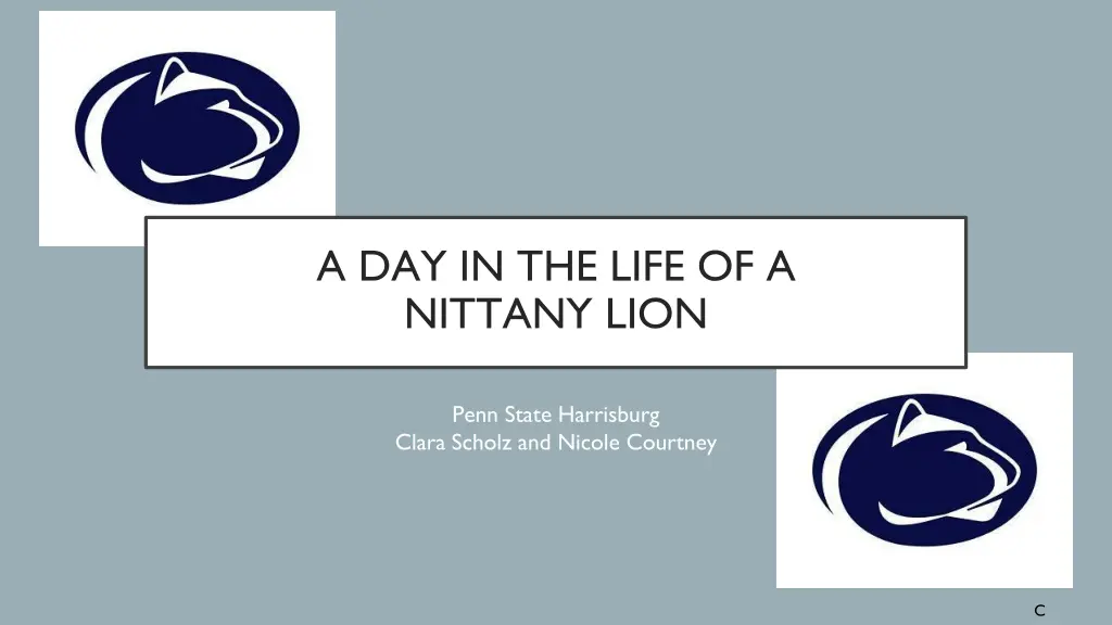 a day in the life of a nittany lion n.w