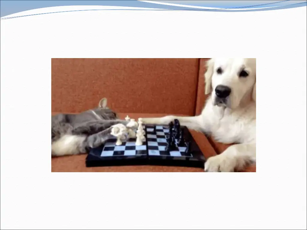 slide1 n.w