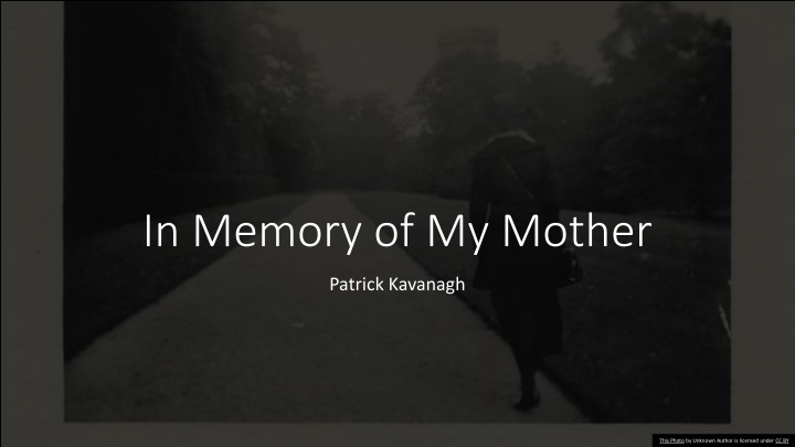 A Tribute to Patrick Kavanagh's Poem 