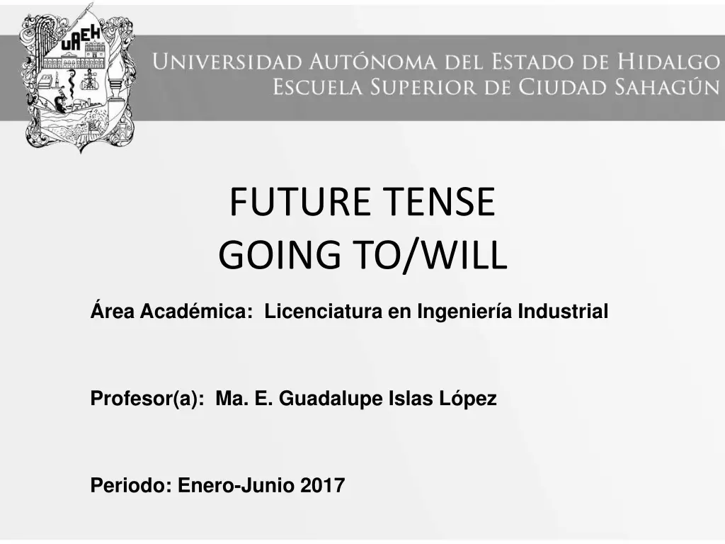 future tense going to will n.w