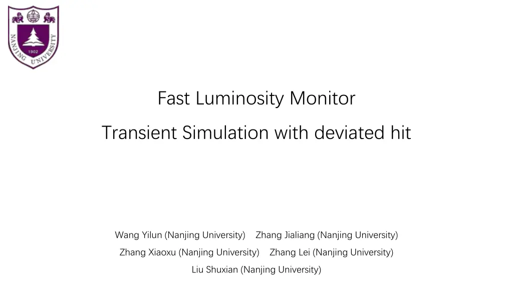 fast luminosity monitor n.w