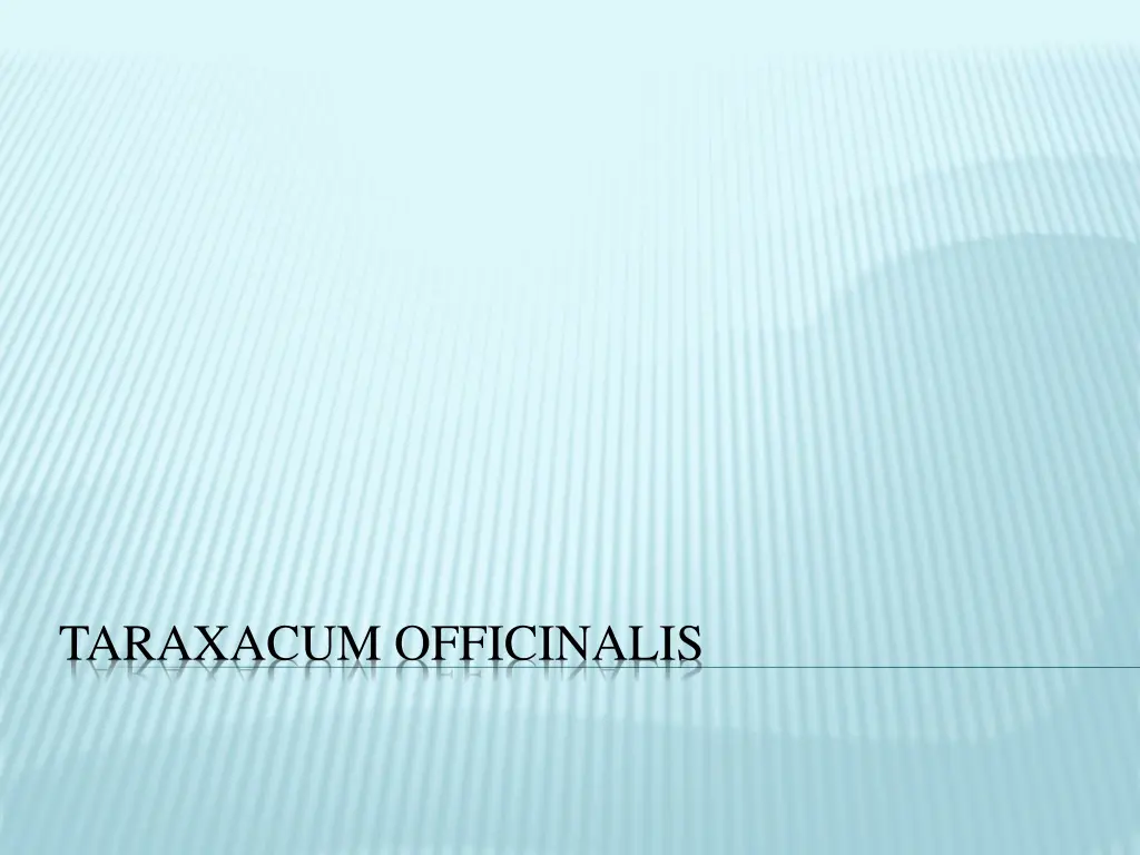 taraxacum officinalis n.w