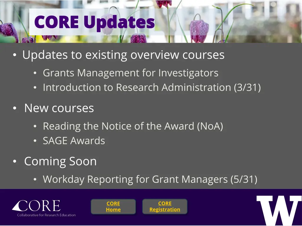 core updates core updates n.w