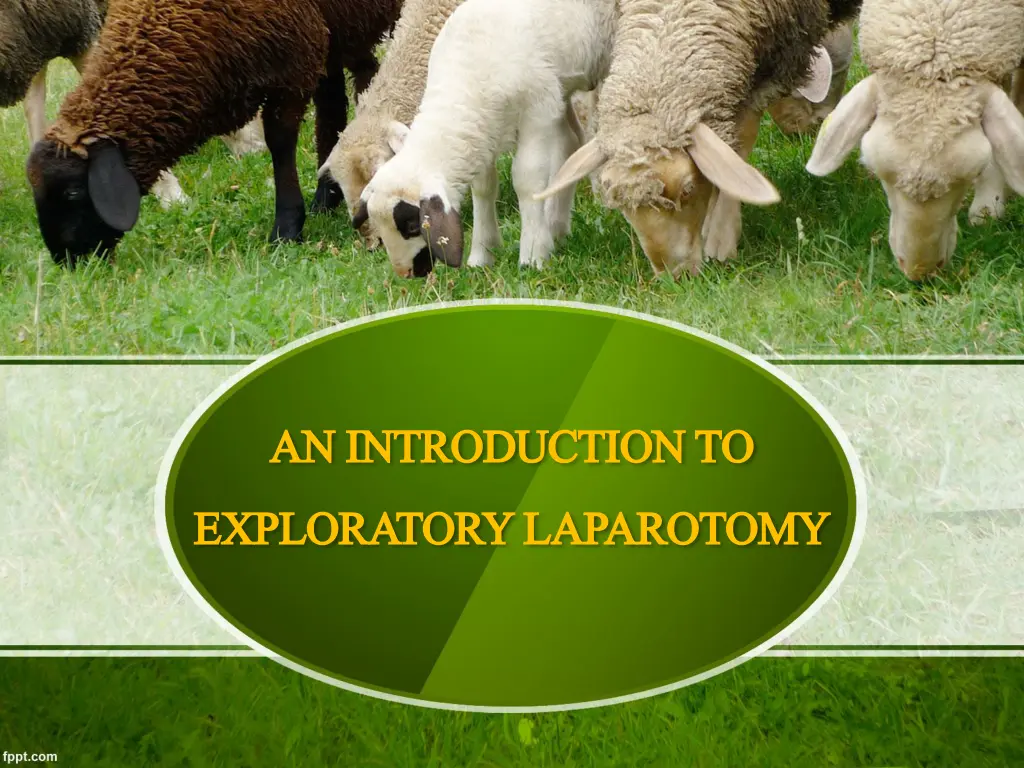 an introduction to an introduction to exploratory n.w