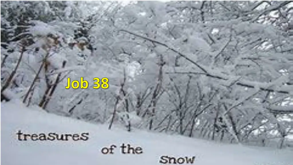 job 38 n.w