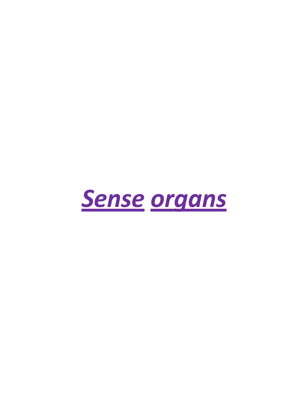 sense organs n.w