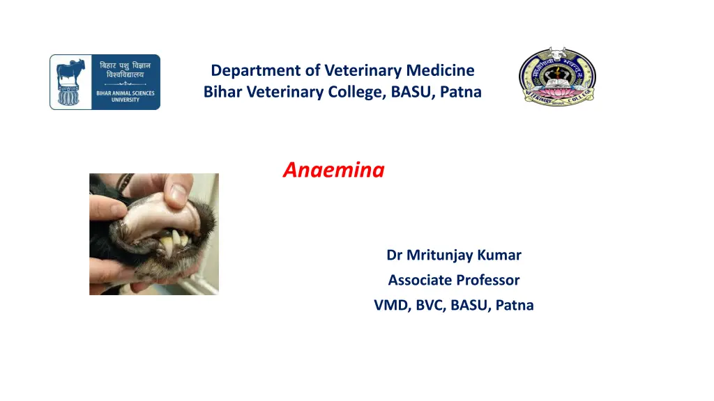 department of veterinary medicine bihar n.w