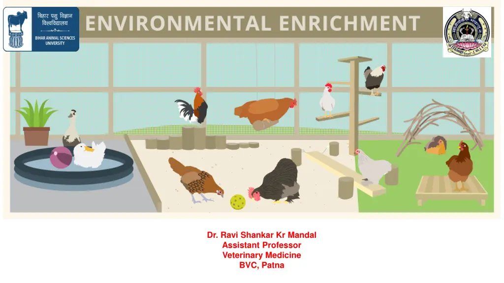 environmental enrichment n.w