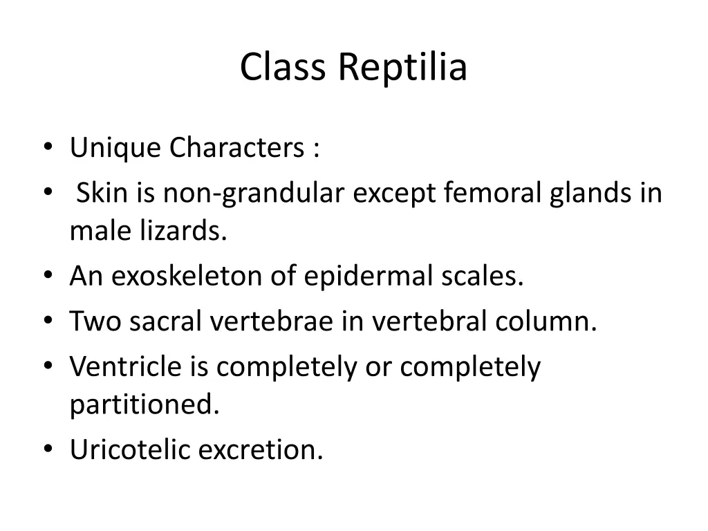 class reptilia n.w