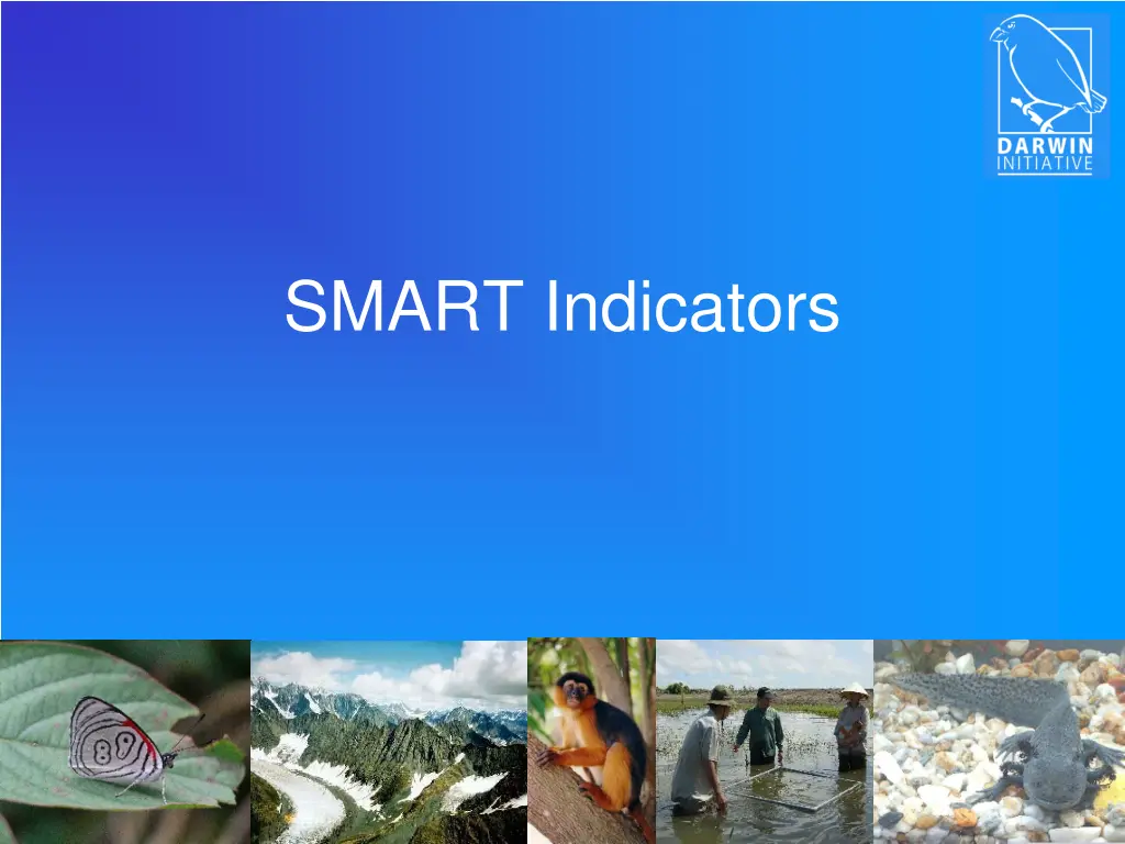 smart indicators n.w