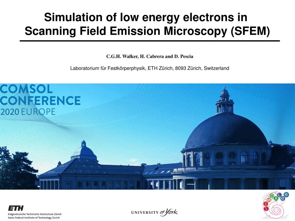 simulation of low energy electrons in scanning n.w
