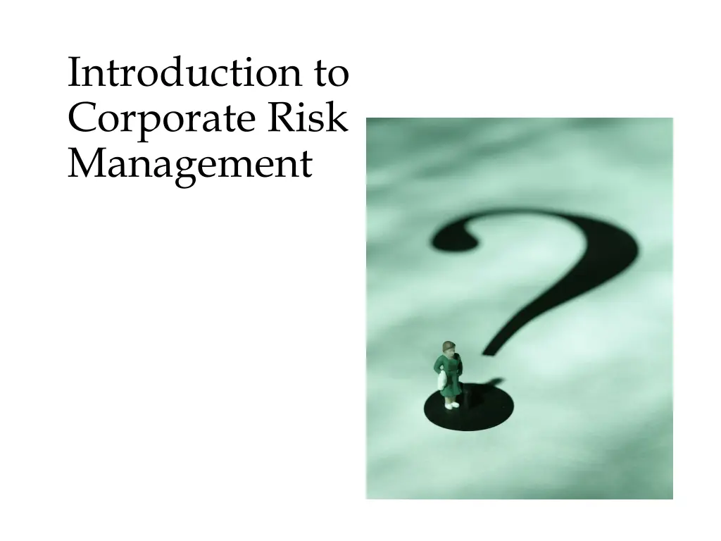 introduction to corporate risk management n.w