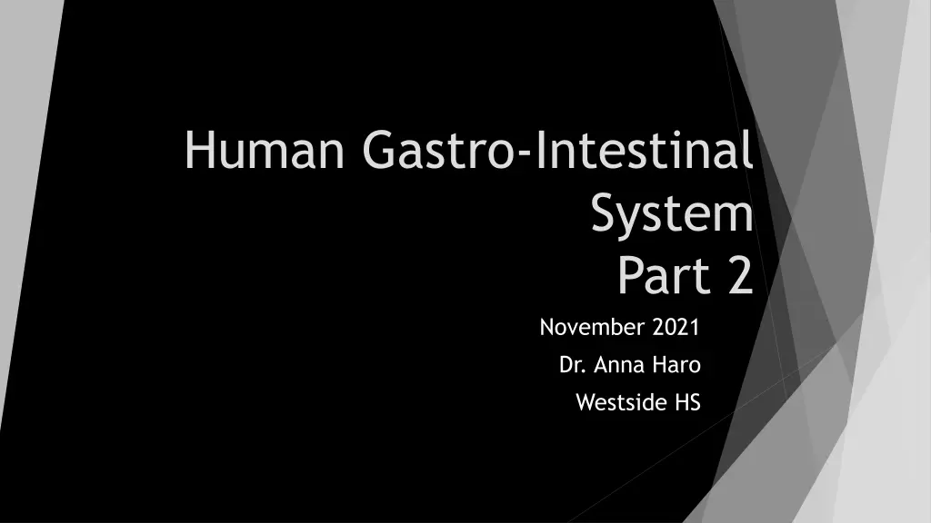 human gastro intestinal n.w